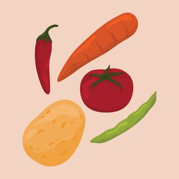 illustration of vegetable soup ingredients vector