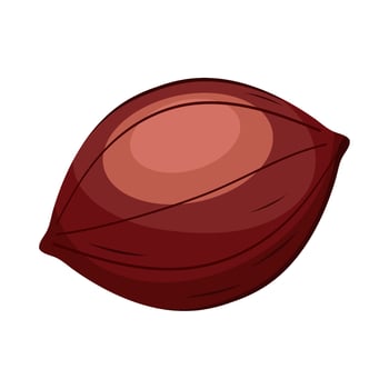 chestnut seed product vector