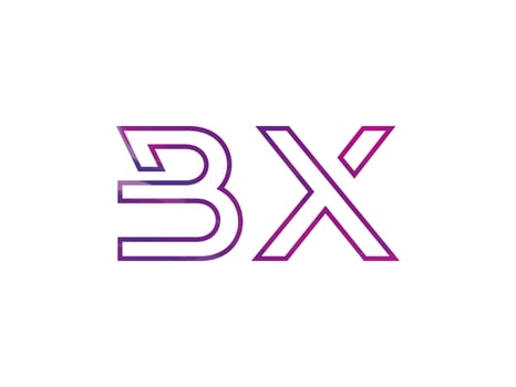 BX Letter Logo With Colorful Rainbow Texture Vector. Pro vector. vector