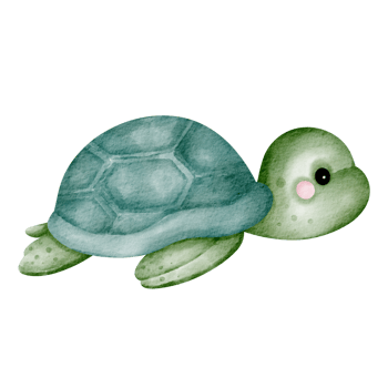 turtle watercolor clip art cartoon png