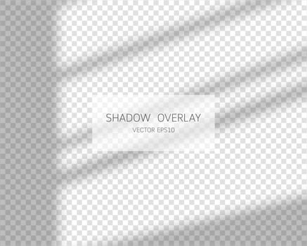 Shadow overlay effect. Natural shadows from window isolated on transparent background. Vector illustration.