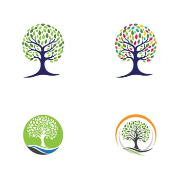 family tree logo template vector