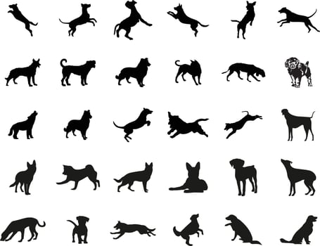 vector, isolated black silhouette of a dog, collection vector