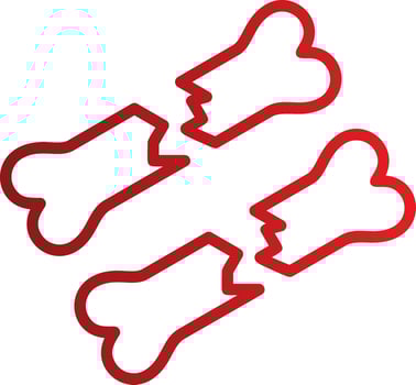 Broken Bone Vector Icon