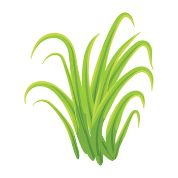Trendy Lawn Turf vector