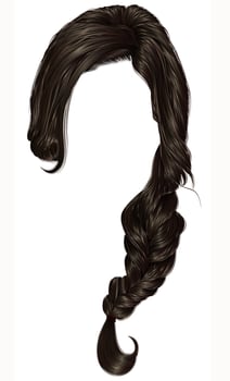 trendy women hairs  pigtail . braid plait .  fashion beauty style . realistic  3d . vector