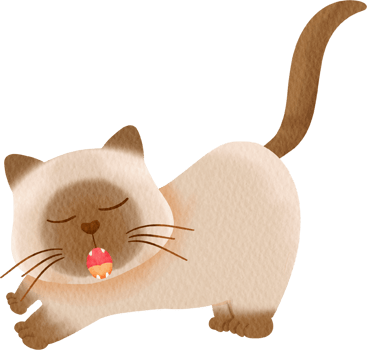 watercolor cat cartoon element collection set baby kitty png