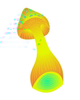 Orange, Yellow and Green Psychedelic Mushroom Drawing vector