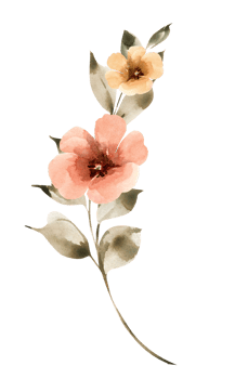 Branch with pink flowers, watercolor illustration. png