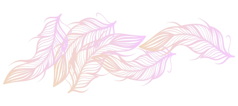 abstract feathers gradient background Design Wallpaper Vector