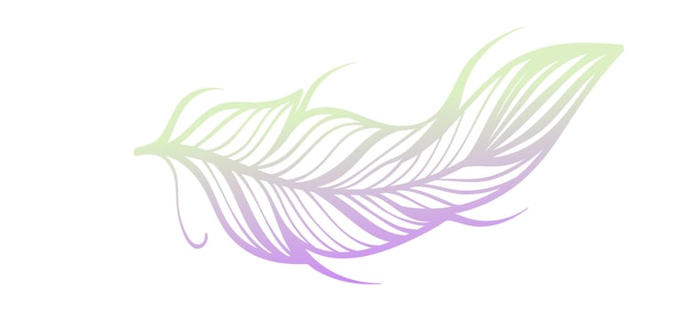 gradient feathers outline white background Design Wallpaper Vector