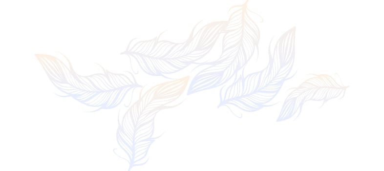 gradient feathers background Design Wallpaper Vector