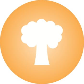 Beautiful Tree Glyph Vector Icon