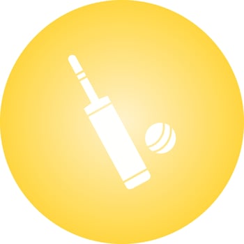Beautiful Bat and Ball Glyph Vector Icon