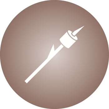 Beautiful Roasted food Glyph Vector Icon