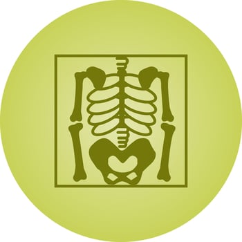 Beautiful Skeleton Vector Glyph icon