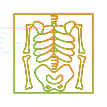 Beautiful skeleton vector line icon