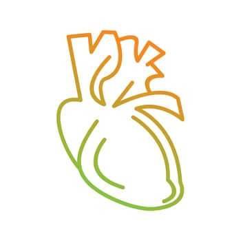 Beautiful heart vector line icon