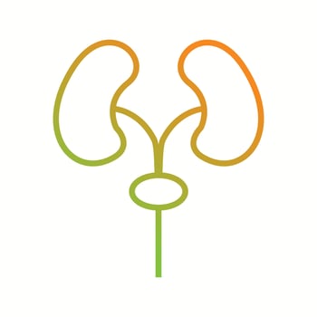 Beautiful lungs vector line icon