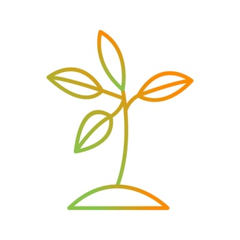 Plant Vector Icon
