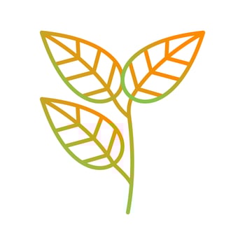Leaves Vector Icon