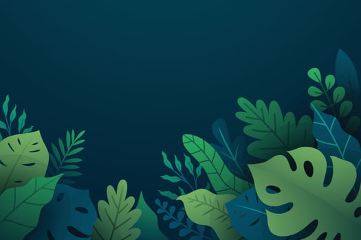 Colorful gradient background with tropical plants vector