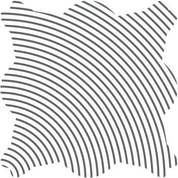 Aesthetic Classic Line Basic Shape png