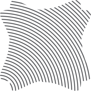 Aesthetic Classic Line Basic Shape png