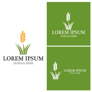 Nature Grass Logo Vector Template Illustration