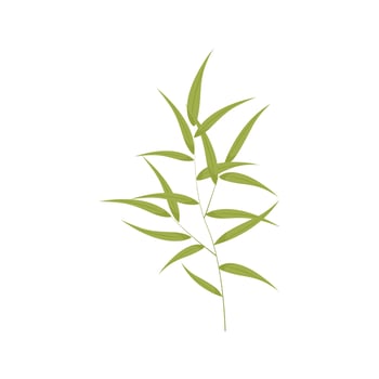 Bamboo branch on a white background vector
