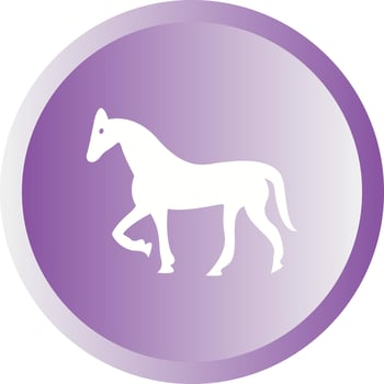 Beautiful Horse Glyph Vector Icon