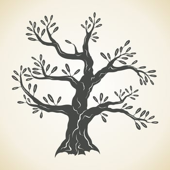 An old grey tree. Vector illustration