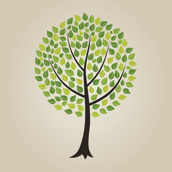 Tree with a roundish crone. A vector illustration