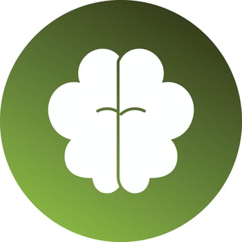 6 - brain vector