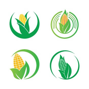 Corn icon vector illustration logo design