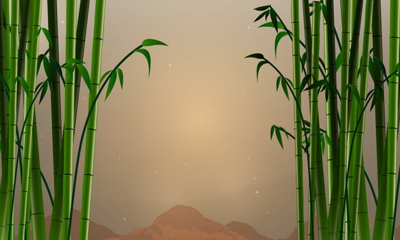 bamboo tree forest background vector