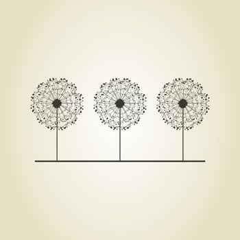 Flower a dandelion in the flora nature vector