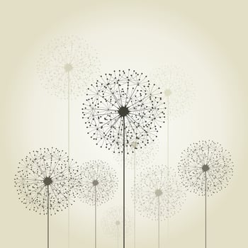Flower a dandelion in the flora nature vector
