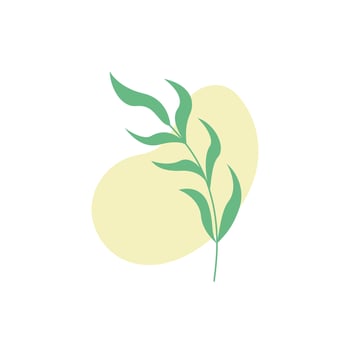 Aesthetic minimalism floral background vector