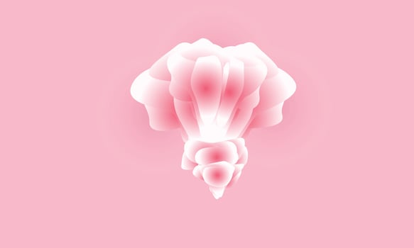 Abstract background with pink color soft flower. vector illustration