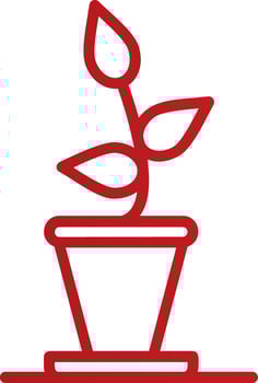 Plant  Vector Icon