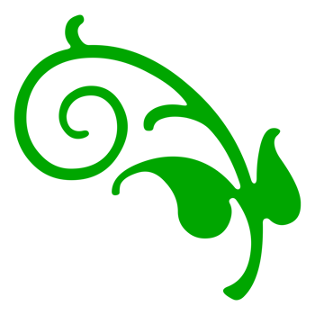 Floral Decorative Shape on Transparent Background png