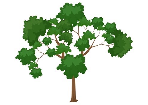 Clipart tree isolated on white background vector