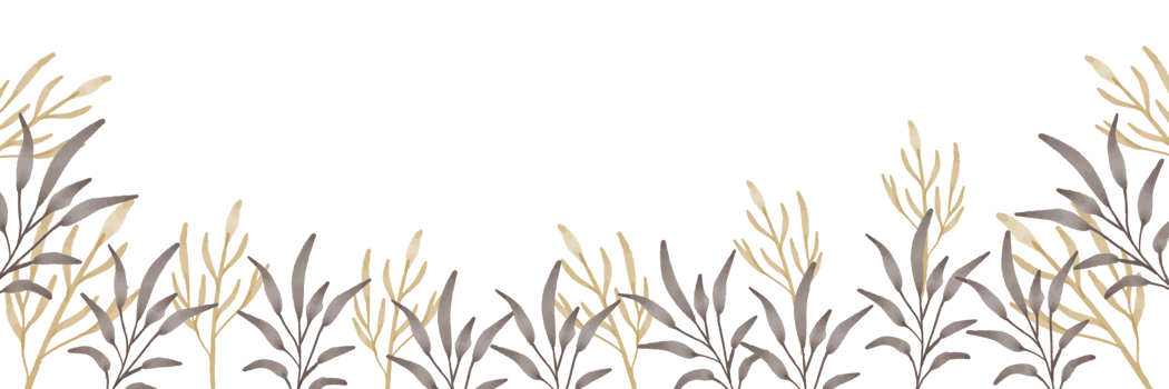 beautiful and elegant botanical watercolor border png