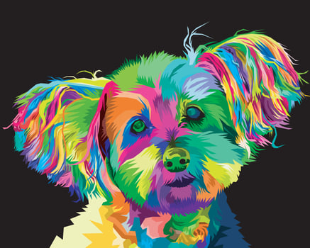 colorful yorkshire terrier doghead on pop art style.vector illustration vector