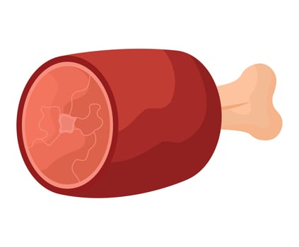 ham leg deisng vector