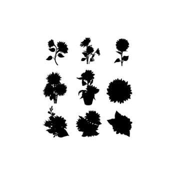 sunflower blossom illustration creative design vector