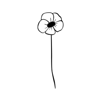 Black line doodle flower on white background. Vector illustration about nature.