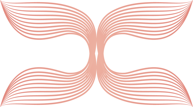flower petals, flower line ornament png