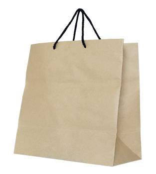 Brown paper bag isolated with clipping path for mockup png